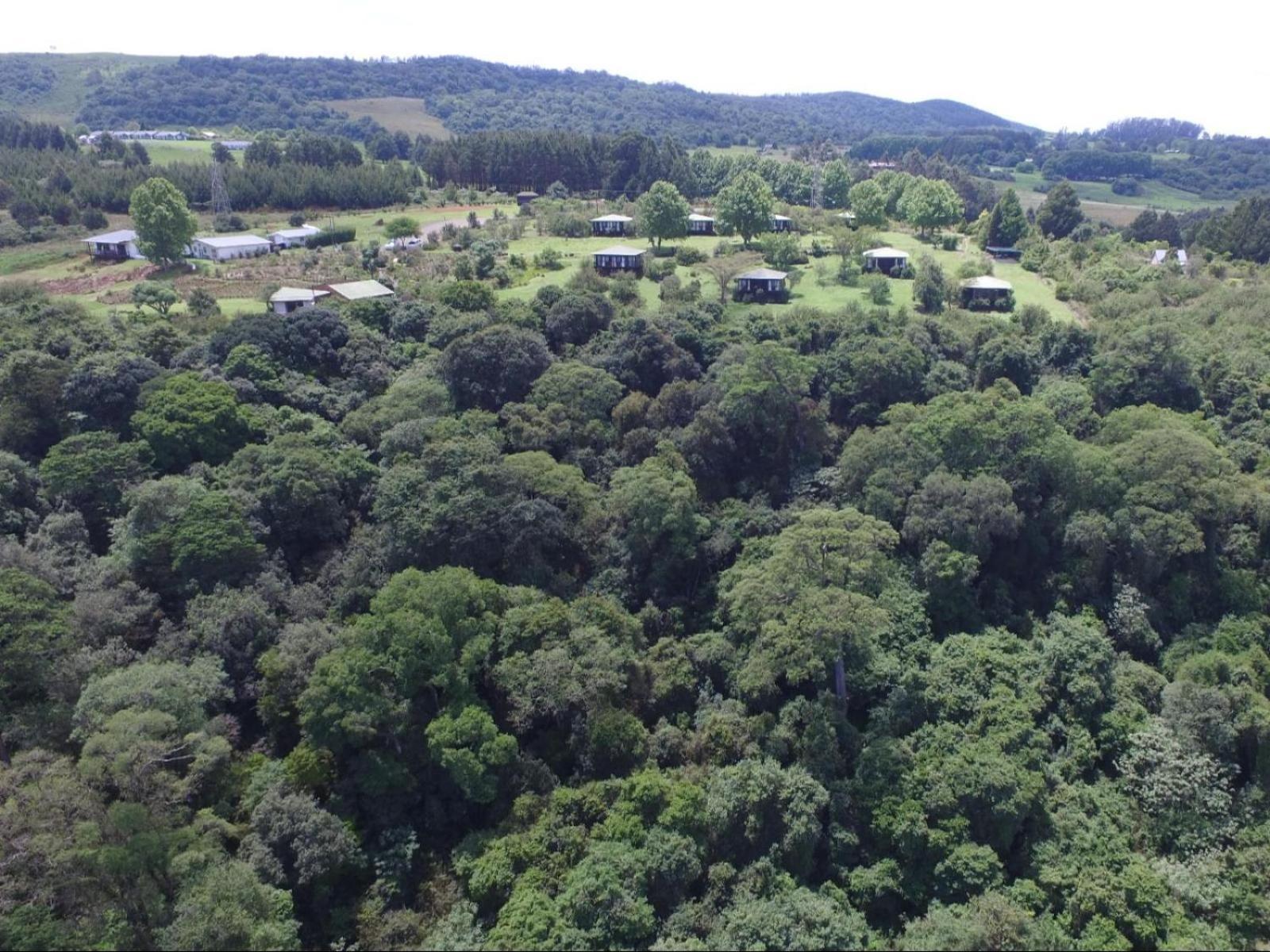Midlands Forest Lodge Balgowan Экстерьер фото