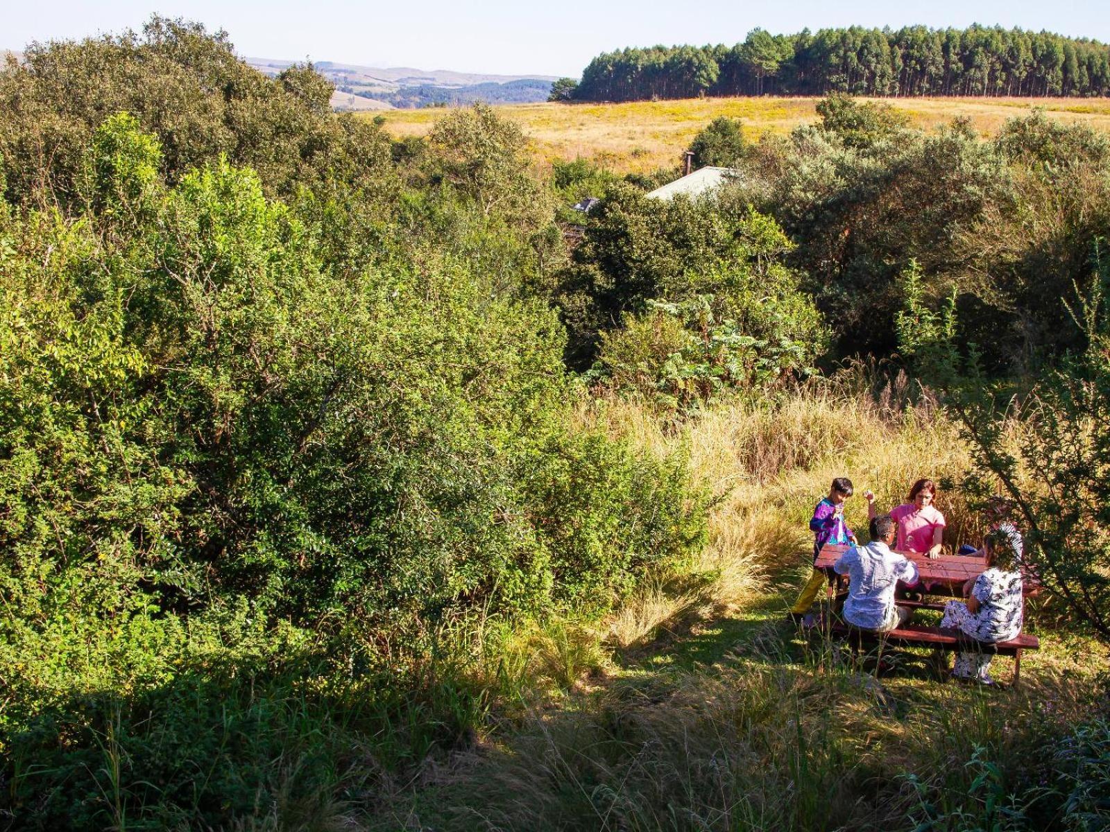 Midlands Forest Lodge Balgowan Экстерьер фото